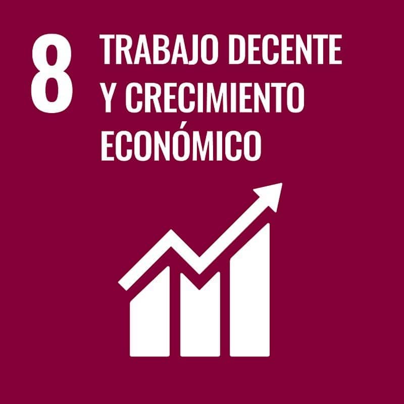 Sustainable_Development_Goal-es-08