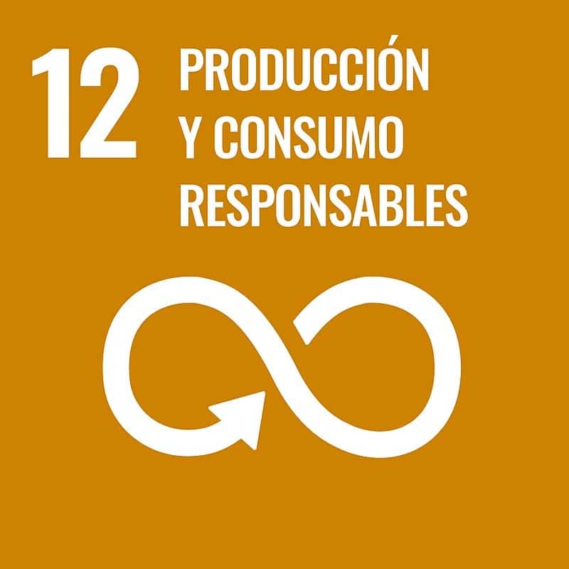 Sustainable_Development_Goal-es-12