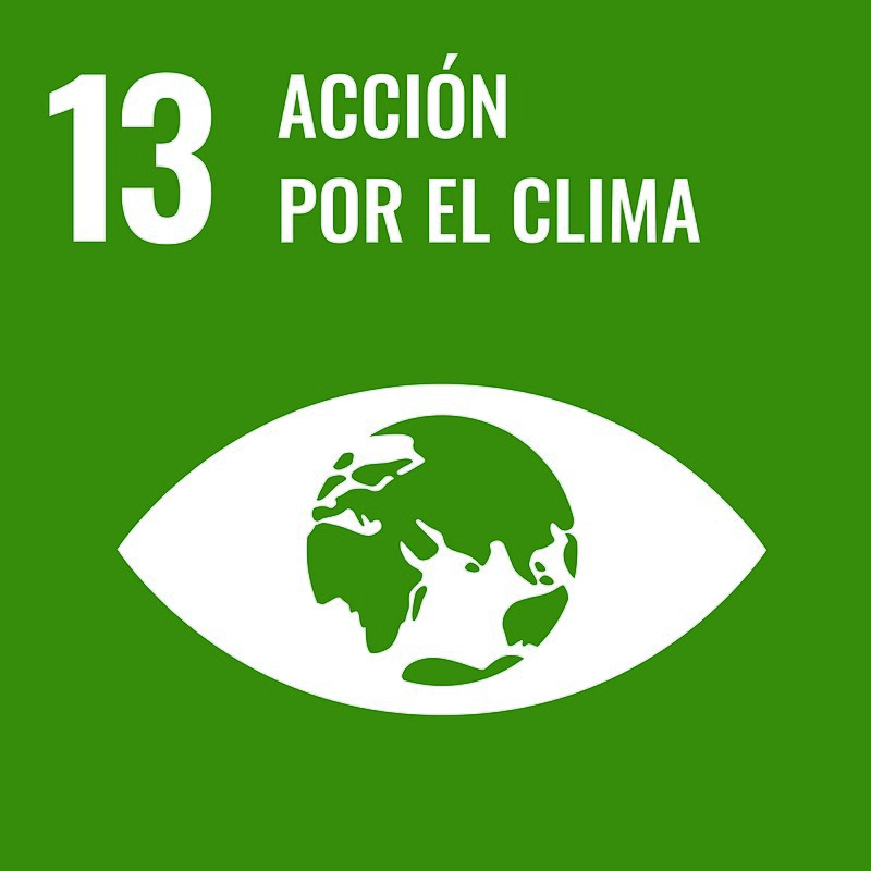 Sustainable_Development_Goal-es13